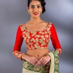 latest-maggam-work-blouse-designs-2017-2018 (23)