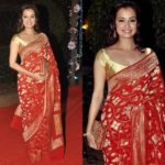 red-saree-gold-blouse (13)