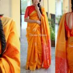 blouse-back-neck-designs-for-silk-sarees (27)