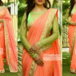 saree-blouse-sleeeve-designs (11)