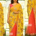 saree-blouse-sleeeve-designs (13)