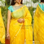 saree-blouse-sleeeve-designs (18)