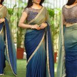 saree-blouse-sleeeve-designs (22)