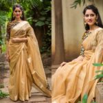 how-to-make-plain-sarees-beautiful (1)