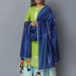 latest-color-combinations-for-churidars-salwar-kameez (7)