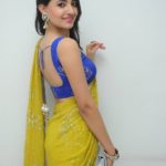 contrast-blouses-for-yellow-saree (5)