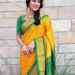 contrast-blouses-for-yellow-saree (7)