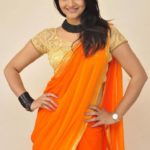 contrast-blouse-for-orange-saree (2)