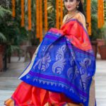 bharatsthali-sarees (7)