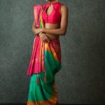 where-to-buy-original-patola-sarees-online (4)