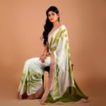 north-indian-style-sarees (10)