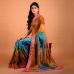 north-indian-style-sarees (5)