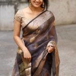 traditional-south-indian-sarees (10)