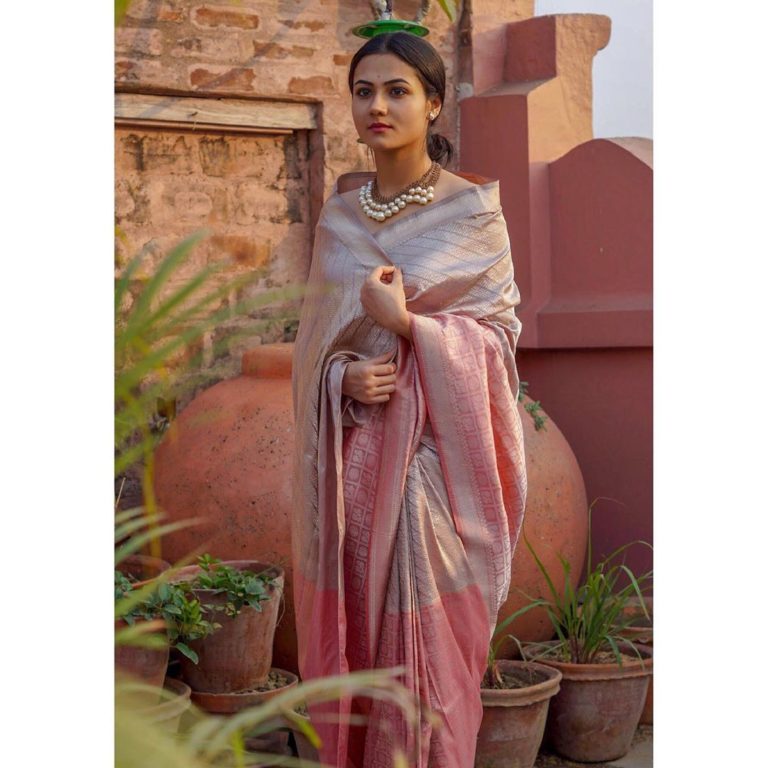 The Ultimate Place To Shop Pure Soft Silk Sarees