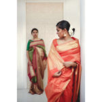 Beautiful-Saree-Designs(5)