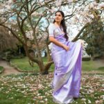 silk-sarees-with-designer-blouses-2