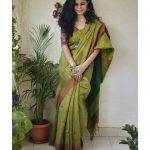 handloom-sarees-online-shopping-24