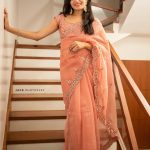 celebrity-saree-pics-5