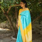 Silk Sarees Color Combinations (10)