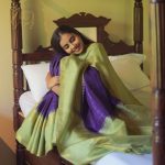 Silk Sarees Color Combinations (11)