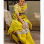 Stunning Silk Saree Designs (9)